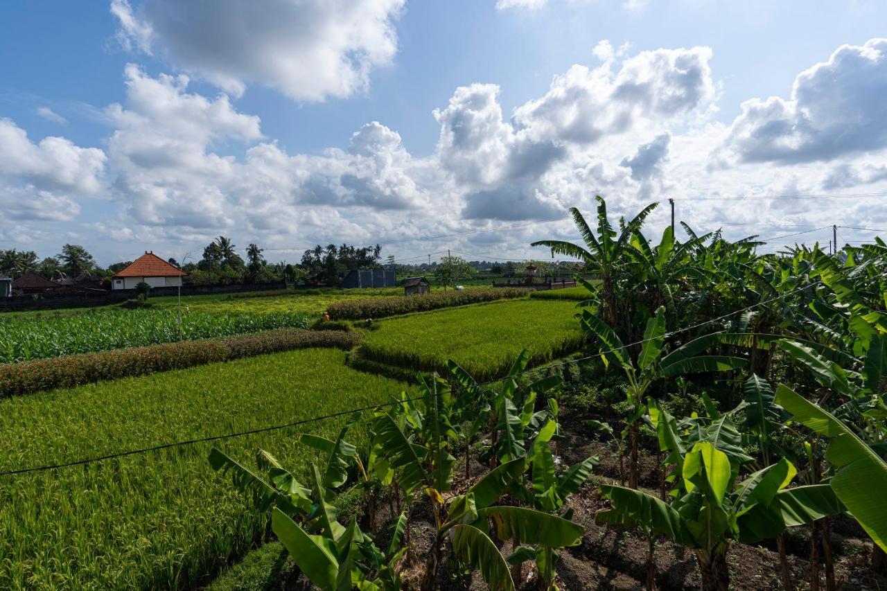Villa Oemah Joglo Bali Ubud Exterior foto