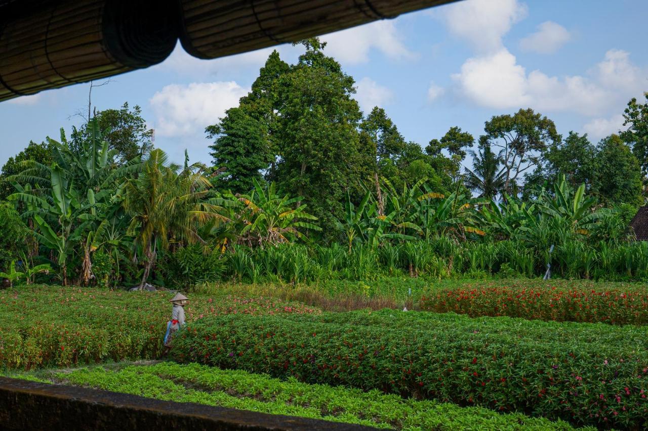 Villa Oemah Joglo Bali Ubud Exterior foto